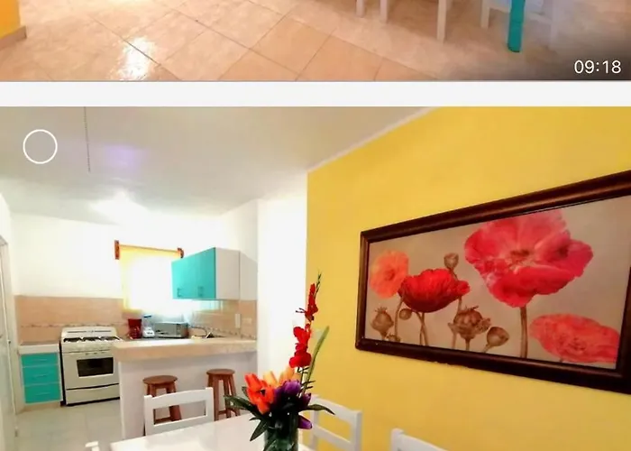 Apartment Intero In Mexico City